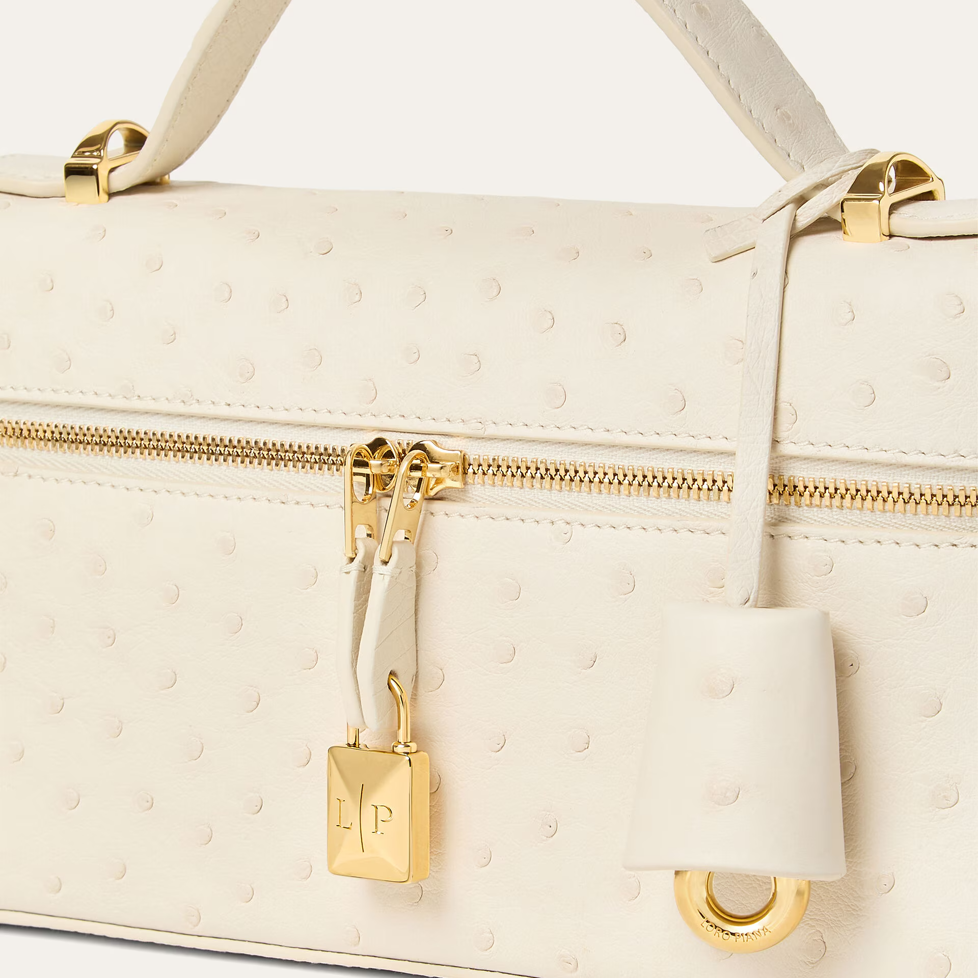 Loro Piana Extra Bag L23 in Ostrich Leather