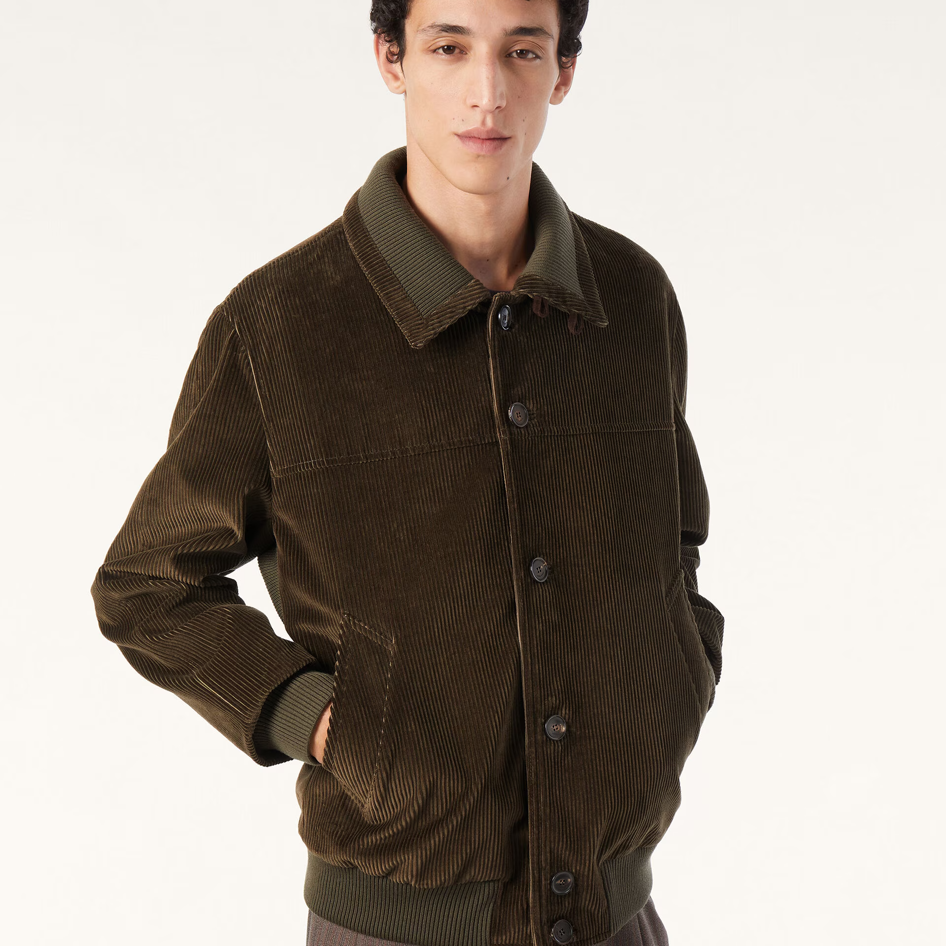 Loro Piana Maremma Bomber Jacket in Cotton