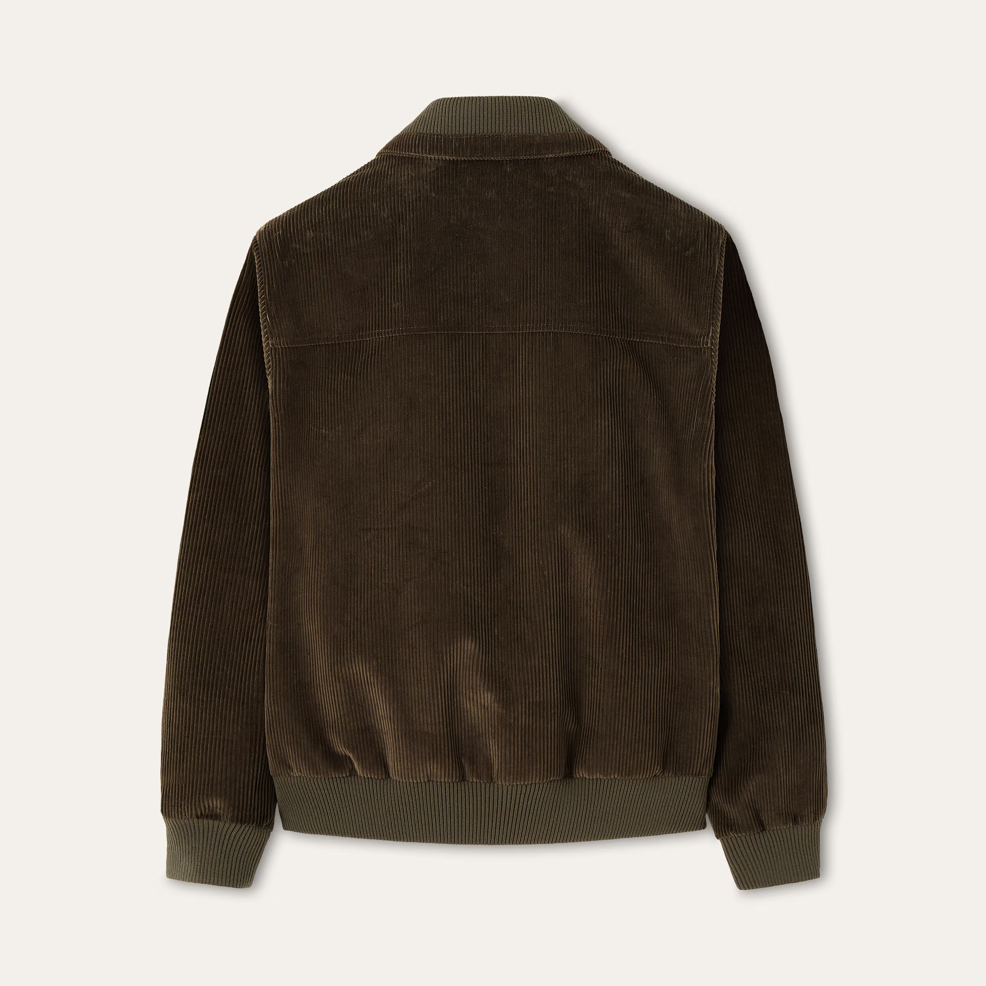 Loro Piana Maremma Bomber Jacket in Cotton