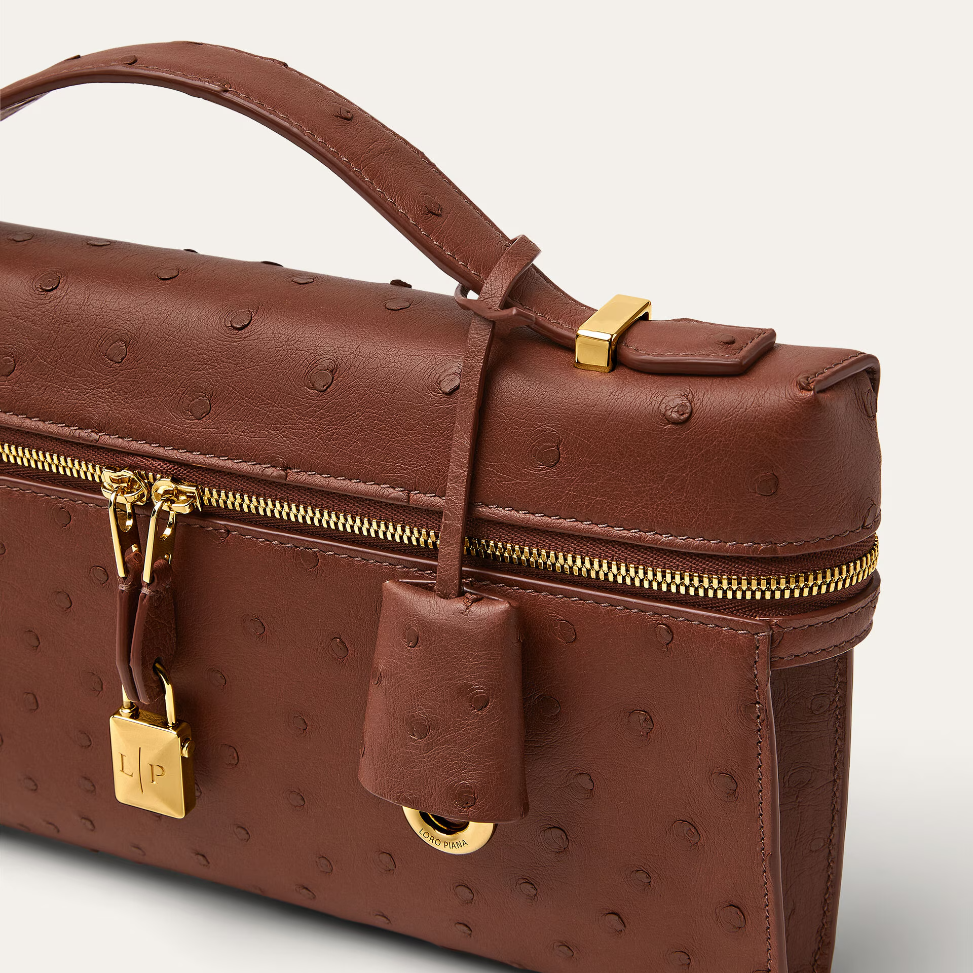 Loro Piana Extra Clutch L29 in Ostrich Leather