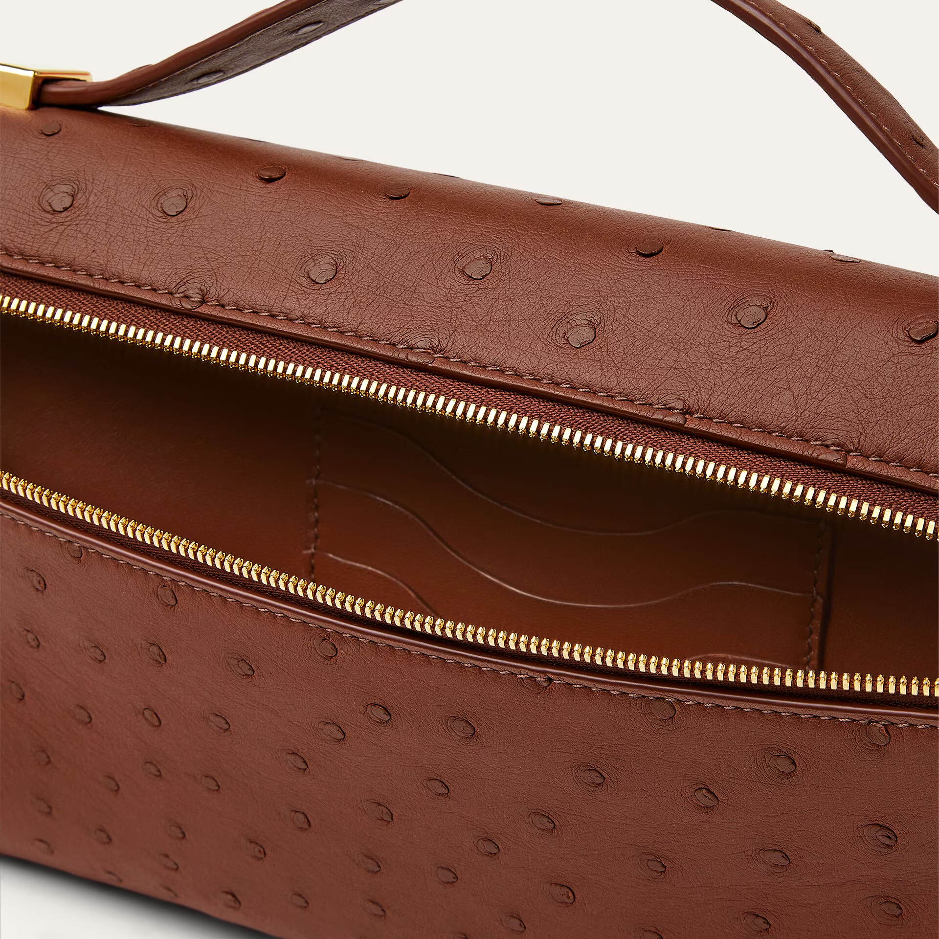 Loro Piana Extra Clutch L29 in Ostrich Leather